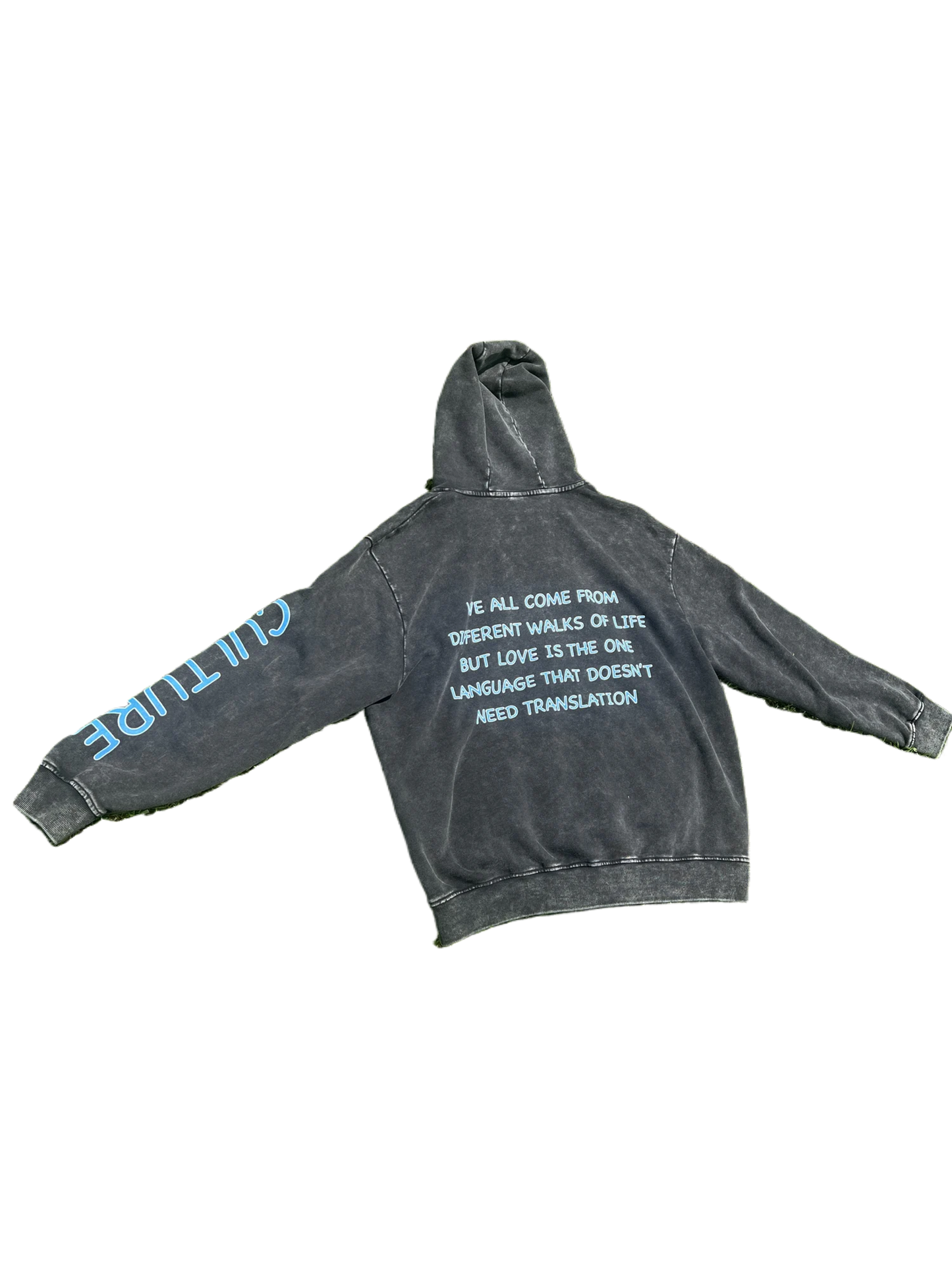 Planet 528 Hoodie